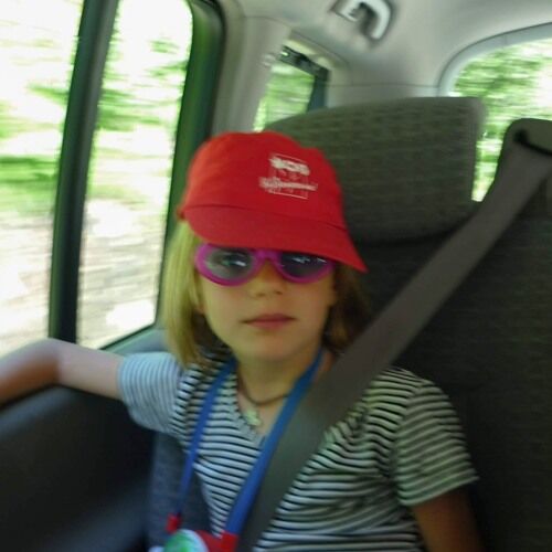 Zonneblaadje