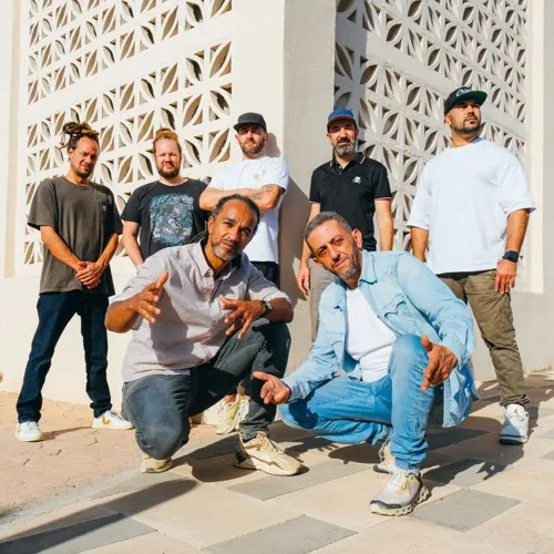 Dub inc