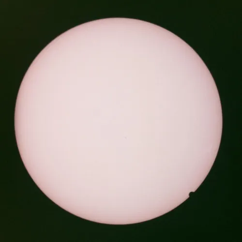 John Maus