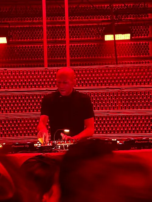 DVS1