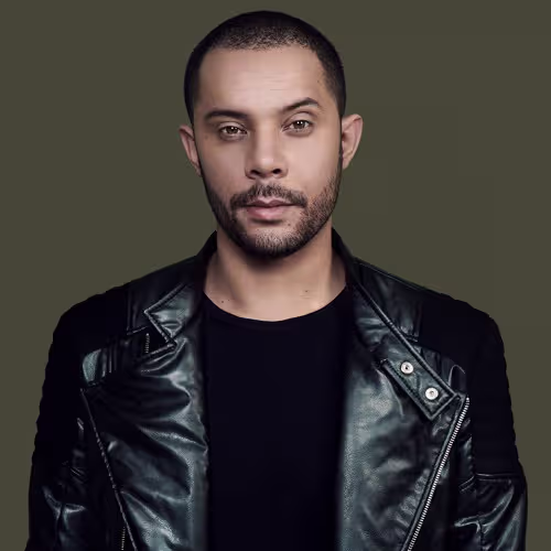 Wildstylez
