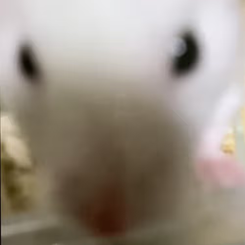 Ako
