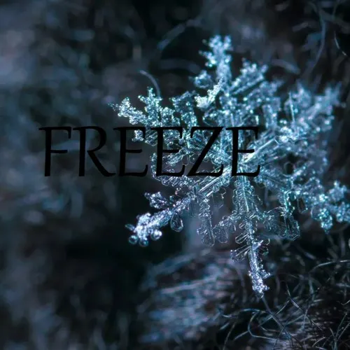 freeze
