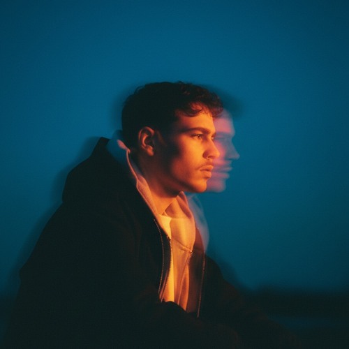 LOIC AMIS