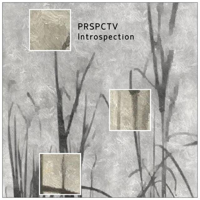 Prspctv
