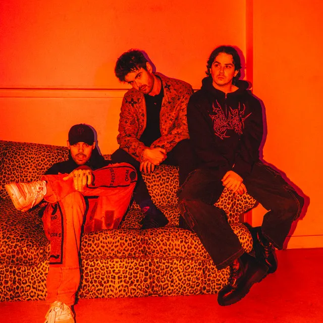 BLOOD DEALER