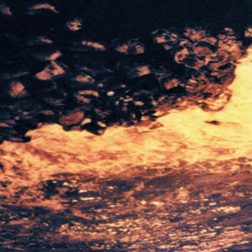 leafar legov