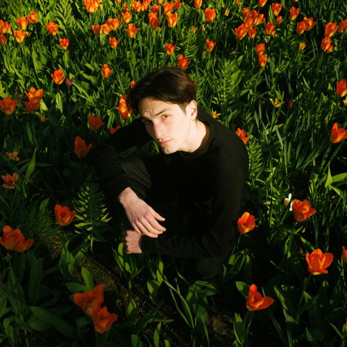 Selected Dream Memories | Hess Publica