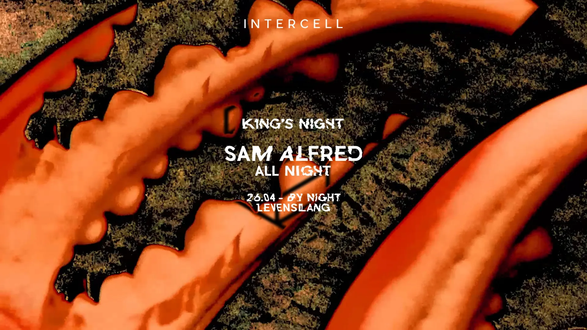 Intercell x Sam Alfred All Night | King's Night