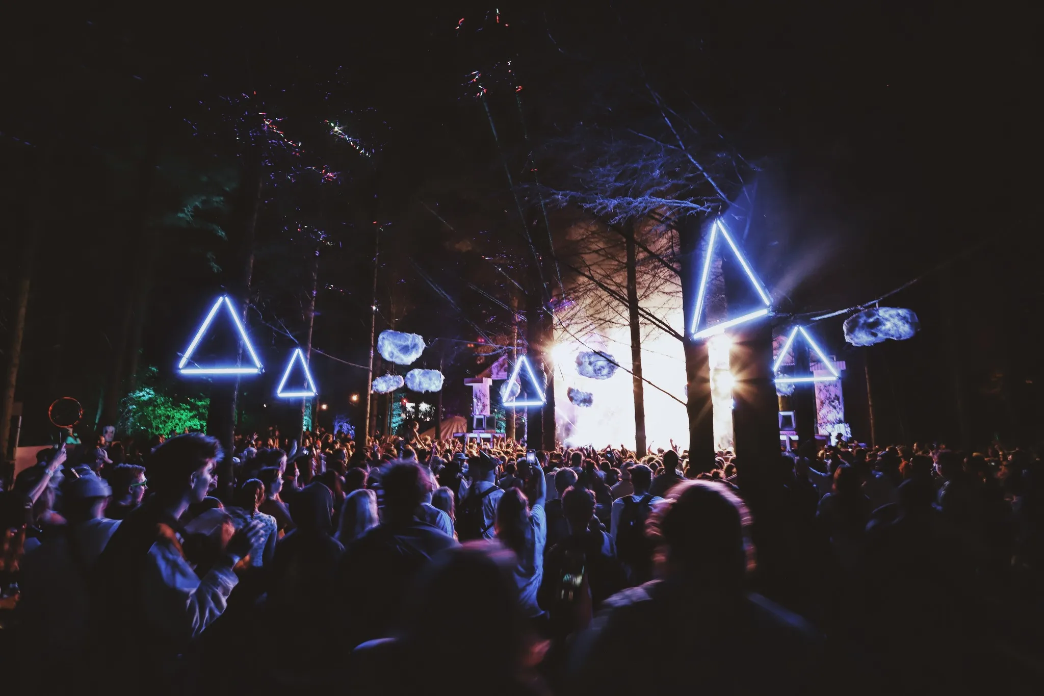 DnB Allstars x Woodland Dance Project