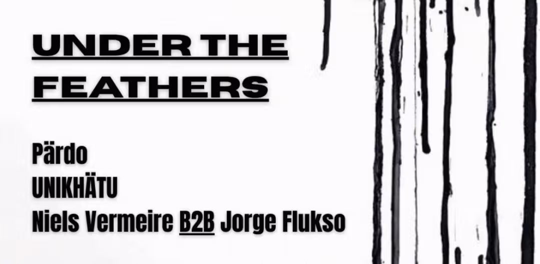 FUNKE_Under The Feathers w/ Pärdo, Unikhatü, Niels Vermeire B2B Jorge Flukso