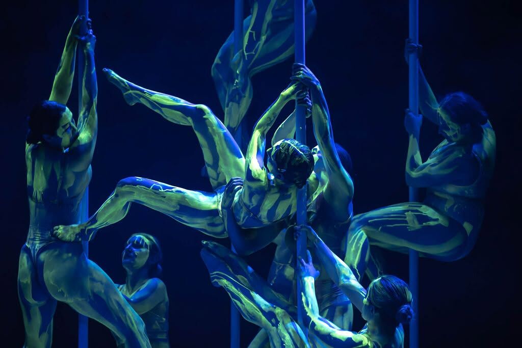 Submersion | Pôle dance show