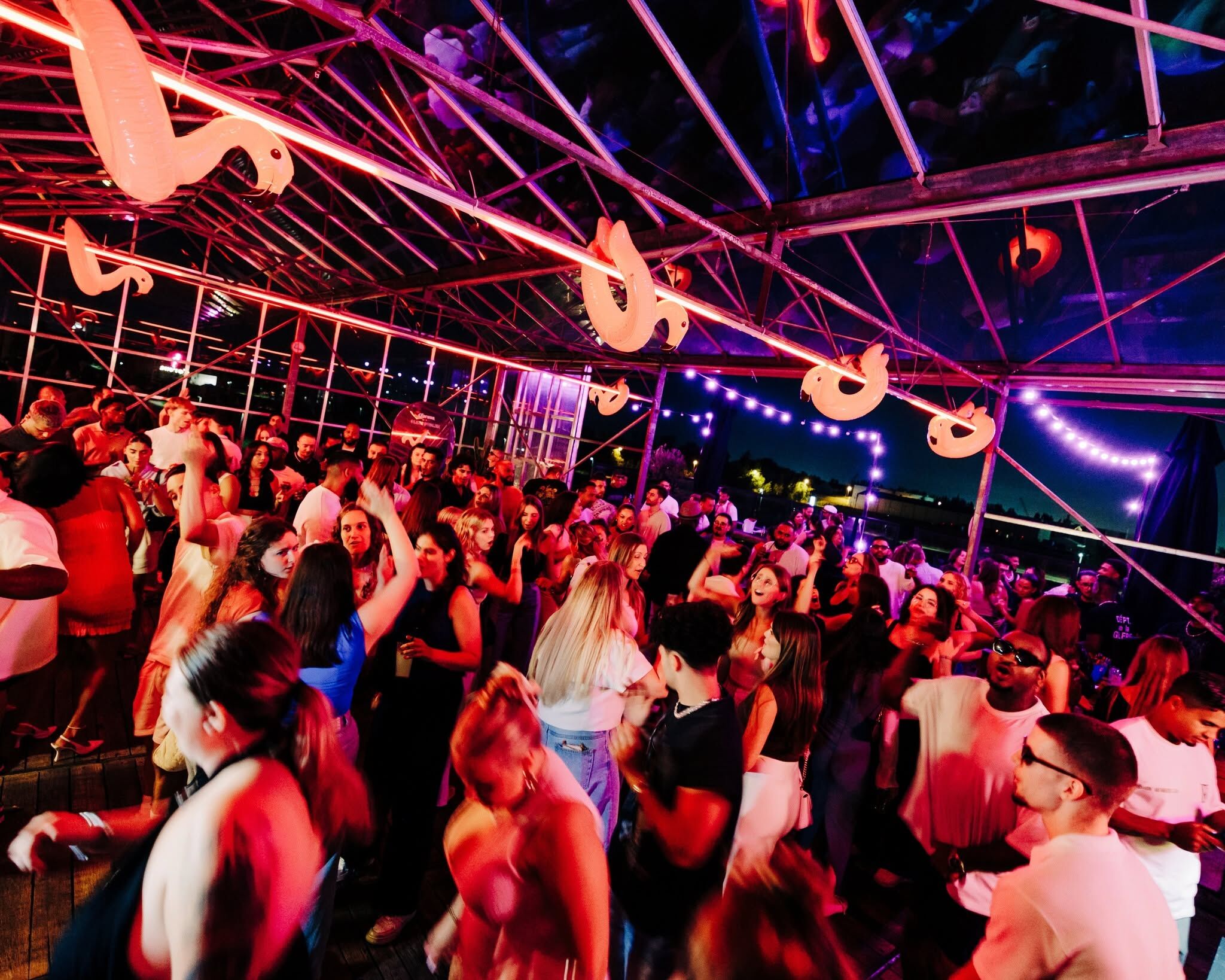 Flamingo Rooftop Party ☀️🦩 | Antwerpen