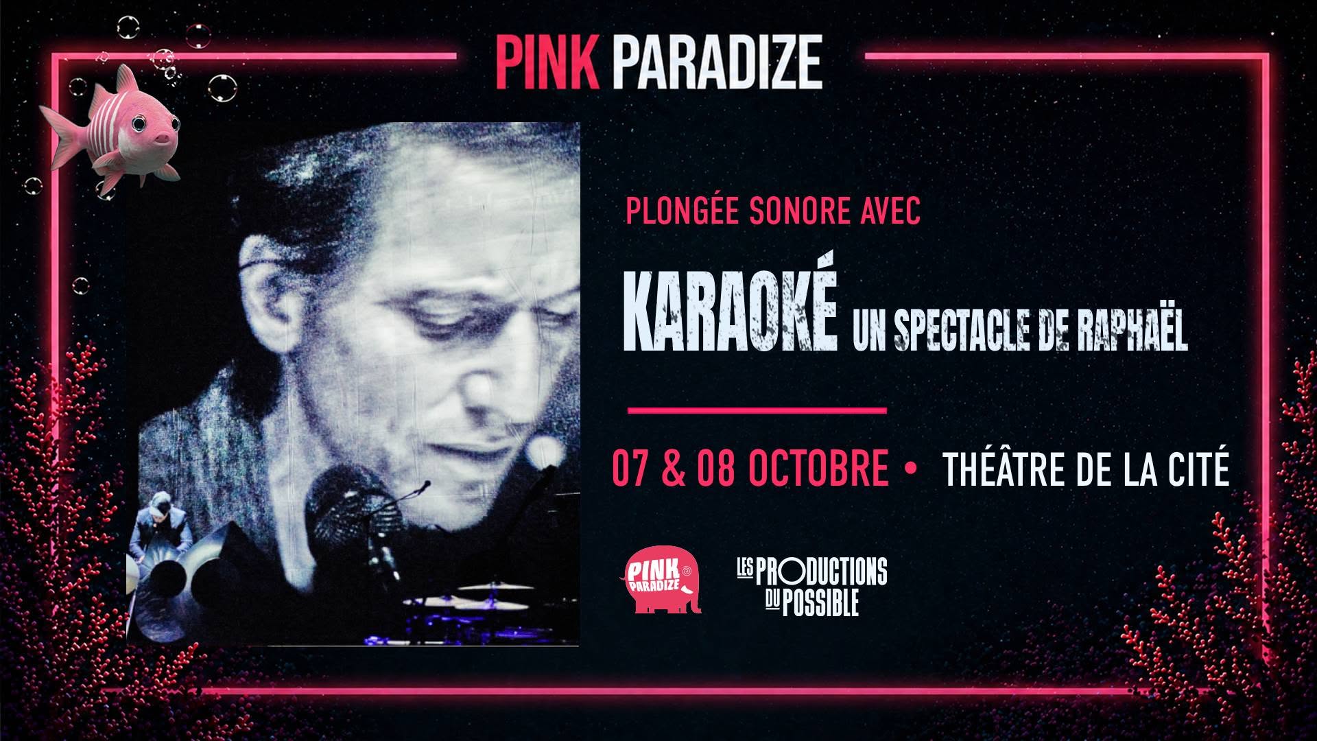 KARAOKÉ : une création de Raphaël [en collaboration artistique avec Cyril Teste] - ThéâtredelaCité