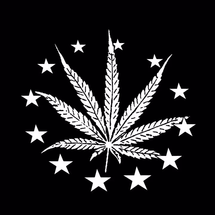 Gay Haze