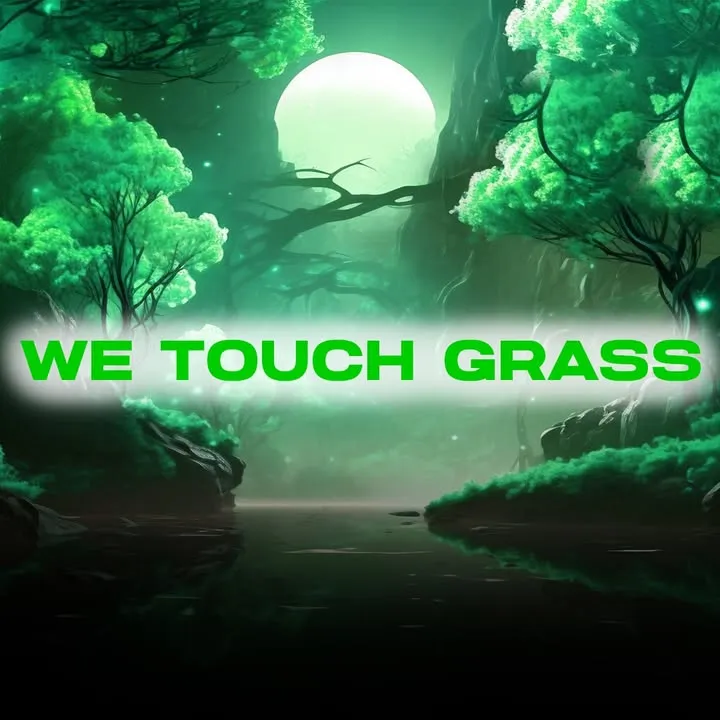We Touch Grass