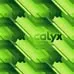 Calyx