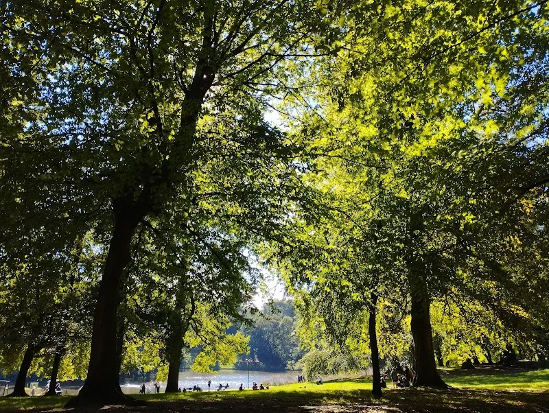 Bois de la Cambre