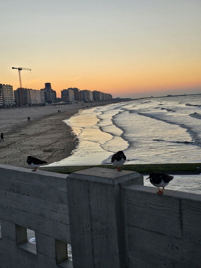 Evenementenstrand, 8370 Blankenberge, Belgium